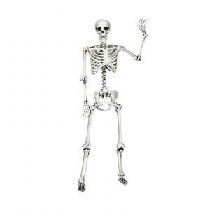 Halloween Life Size Full Body Skeleton Festival Skeleton Prop Decoration